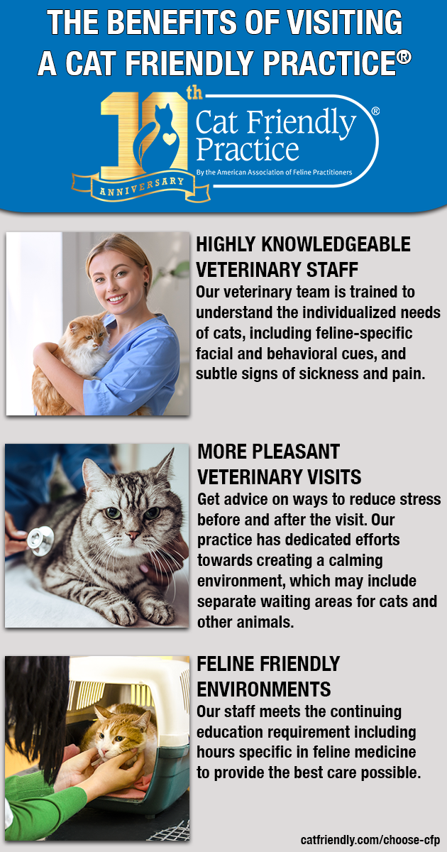 CFP-REASONS-INFOGRAPHIC (1) a person holding a cat